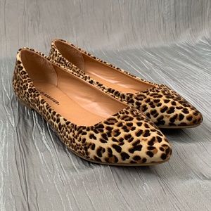 Faux Suede Leopard Pointed Toe Flats